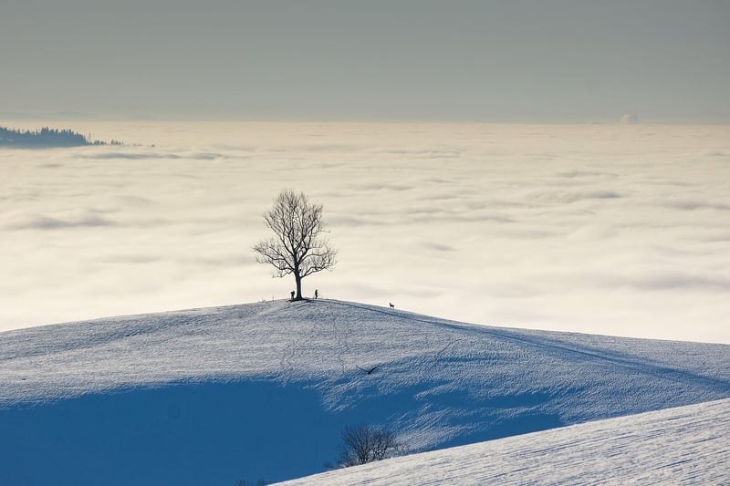Dimensional Landscape